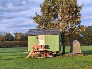 Taman di luar Tiny House