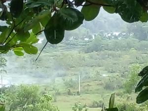 a view of a field from a tree at Ananthaya- the infinity in Wadduwa