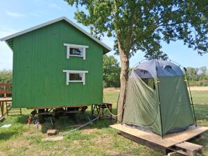 a green house and a tent in a field at Tiny House in Münster +18 photos