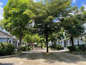 黎府Mina Resort and Spa的街道中间的树,房子