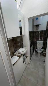 une salle de bain avec un lavabo et des toilettes dans l'établissement Apartament EVGENIJA, à Struga
