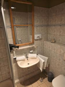 a bathroom with a sink and a mirror at Gasthof Staudham in Wasserburg am Inn +11 photos
