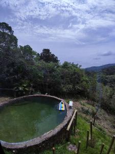 a small pool of water in a field at A casa da Floresta in Florianópolis