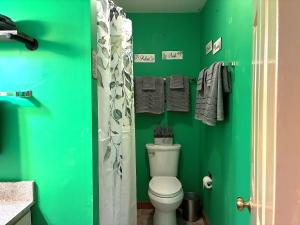 a green bathroom with a toilet and a green wall at Jurassic Dino Suite Jiminy-Must See Sleeps 4 in Hancock