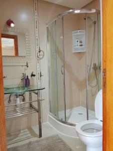 アシラにあるGolf & Piscines en Familleのシャワー、トイレ、洗面台を備えたバスルーム