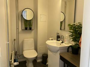 a bathroom with a toilet and a sink and mirror at Spacious Apartment for 6 with Sauna in Kemi +5 photos