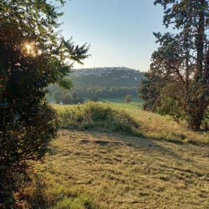un campo de hierba con el sol brillando en él en Gite de PECH ABADEN, en La Celle-sous-Gouzon