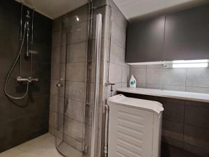 a bathroom with a shower and a toilet in it at Central and Spacious Apartment for 11 in Kemi +6 photos
