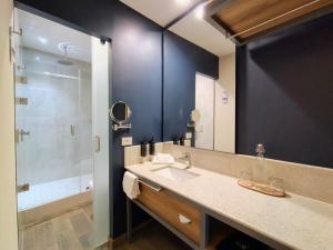 a bathroom with a sink and a shower at Hotel Soretti in Durango