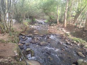 Fotografie z fotogalerie ubytování Rahsia Riverside Orchard Campsite at Janda Baik , Pahang v destinaci Bentong