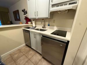 ハンコックにあるDeluxe Ski On Off 1BR Suite Sleeps 4 on Jiminy Mtnのシンクと食器洗い機を備えた小さなキッチン