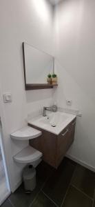 a bathroom with a sink and a mirror and a toilet at Le Cabanon du Marché in Audenge +24 photos