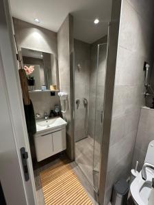 a bathroom with a shower and a sink at Riverside Apartmani Kopaonik in Brzeće +19 photos
