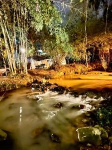 a view of a stream with trees in the background at Rahsia Riverside Orchard Campsite at Janda Baik , Pahang in Bentong +6 photos