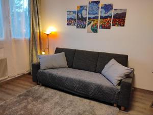 a couch in a living room with paintings on the wall at Apartment Arte in Graz