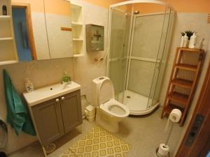 a bathroom with a shower and a toilet and a sink at Solheim Guesthouse in Dverberg +73 photos