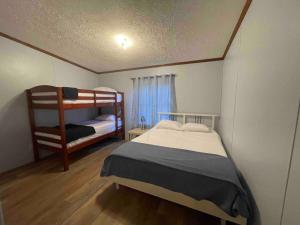 Postel nebo postele na pokoji v ubytování Devil Anse Home Rental