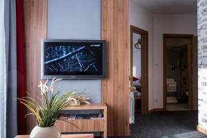 TV a/nebo společenská místnost v ubytování CityComfort Apartments "parking free" + 51 fotografií