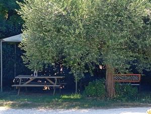 Ảnh trong thư viện ảnh của Agriturismo i Due Mori ở Treia