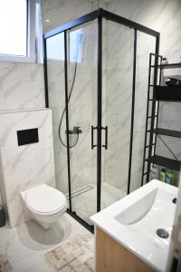 a bathroom with a shower and a toilet and a sink at Apartman Dimić, Vrnjačka Banja in Vrnjačka Banja +18 photos