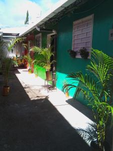a green house with plants in front of it at El Pacifico Hostel in Juayúa