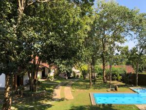 un patio con piscina y árboles en The Ehela, en Tangalle
