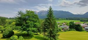 an aerial view of a village with trees and mountains at Ferienwohnung Naturblick in Bad Mitterndorf