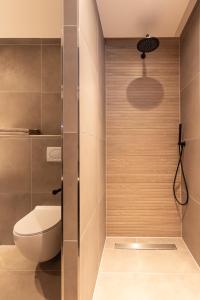 a bathroom with a toilet and a shower at Onder het dak van Brabant in Mierlo +27 photos