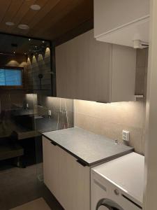Kuchyň nebo kuchyňský kout v ubytování Nordic Aurora home with jacuzzi