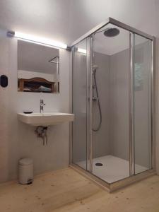 a bathroom with a shower and a sink at Romantický domek Slapy in Brunšov +19 photos