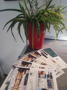 a table with magazines and a potted plant at Leo House in Trezzo sullʼAdda