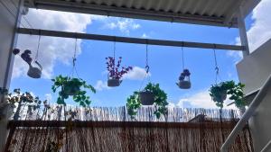 a group of potted plants hanging from a window at Dúplex familiar cerca al Cable y Milán con patio in Manizales