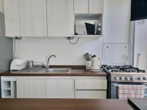 Η κουζίνα ή μικρή κουζίνα στο Departamento en Pucon