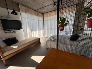 TV a/nebo společenská místnost v ubytování Loft en zona campus UNNE + 8 fotografií