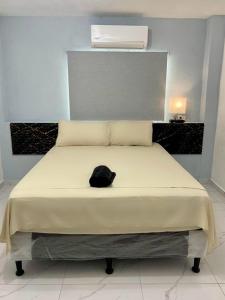 Las FloresにあるEvolution Homeの黒猫