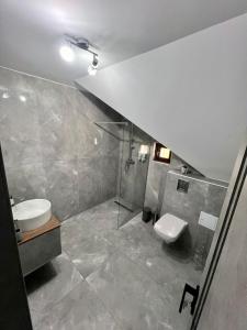 een badkamer met wastafel en toilet bij La Izvor Moinești, Cazare in Moineşti