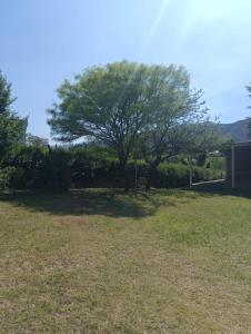 a tree in the middle of a yard at Los Algarrobos in Bialet Massé +1 photo