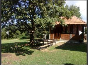 a picnic table under a tree next to a building at Apartmani Da-Da in Gornji Milanovac
