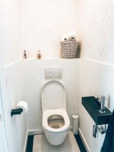 een kleine badkamer met toilet en wastafel bij Penthouse with spacious terraces in the heart of Geel in Geel +5 foto's