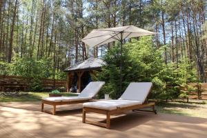 two chairs and an umbrella and a gazebo at Forest Home Dębowa 18 in Łuka