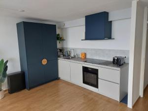 Η κουζίνα ή μικρή κουζίνα στο Appartement Aemstelsigt