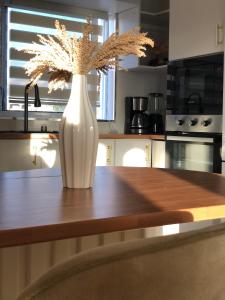 Gallery image of Casa 13 - Refúgio Salinas in Vila do Maio