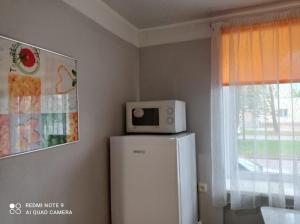 a microwave on top of a refrigerator in a room at Vienības 28 in Daugavpils