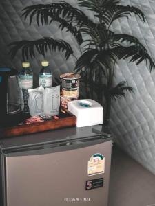 a plant sitting on top of a refrigerator at 360องศาเขาค้อ in Ban Thung Samo