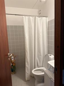 a bathroom with a toilet and a shower curtain at Studio apartment in Central Copenhagen in Copenhagen