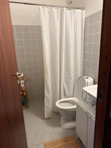 a bathroom with a toilet and a shower curtain at Studio apartment in Central Copenhagen in Copenhagen