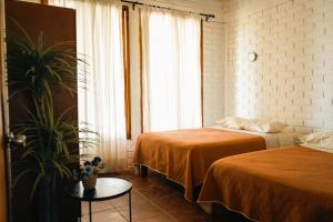 a room with two beds and a plant and a window at Cabaña 0 in Coyote