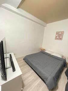 Un dormitorio con una cama y un televisor de pantalla plana. en Studio équipé et lumineux à Plombières-lès-Dijon, proche Dijon, en Plombières-lès-Dijon