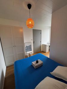 a bedroom with a blue bed with a bowl on it at Le Nébula - rénové - parking - proche centre ville in La Roche-sur-Foron