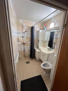 Un baño con inodoro, lavabo y ducha. en Biskopsgarden, en Gotemburgo